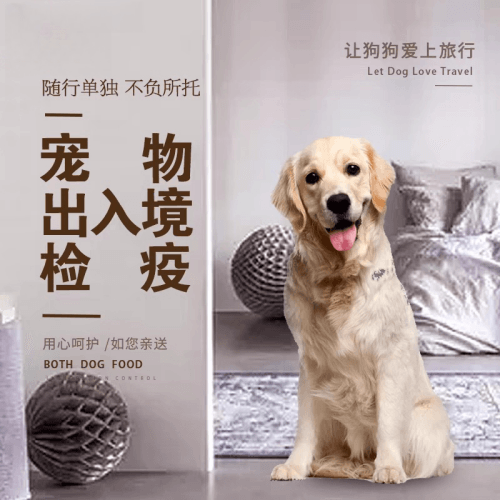 蚌埠宠物托运到哥伦比亚猫狗宠物入境规定和