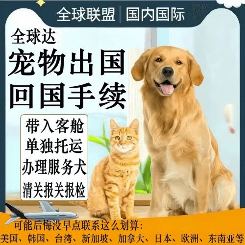 蚌埠宠物托运到柬埔寨宠物入境规定和要求