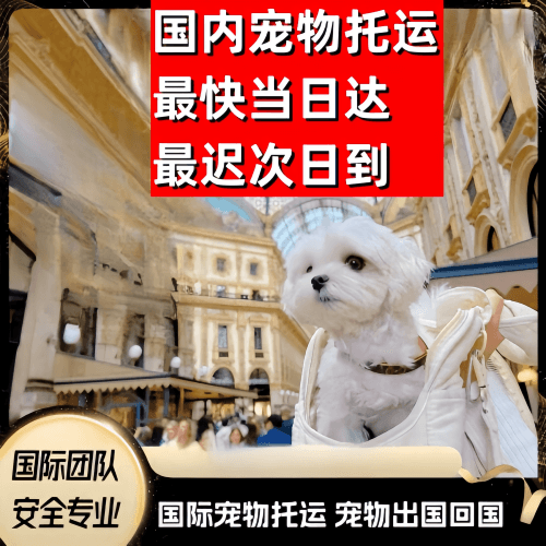 蚌埠到澳大利亚（澳洲）宠物入境规定和要求