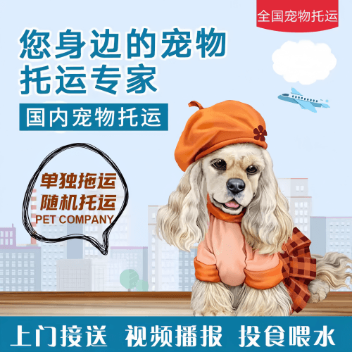 满财蚌埠宠物全球达宠物托运作为专业的宠物运输代理机构